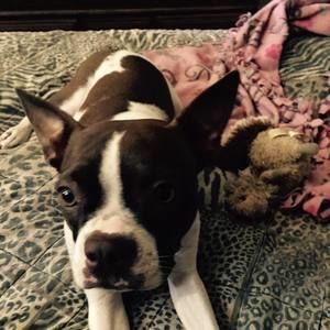 Meet your Posher, Diana